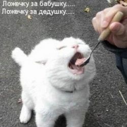 Интересные факты о еде