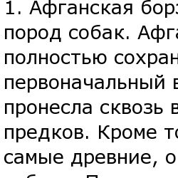 10 самых упертых собак