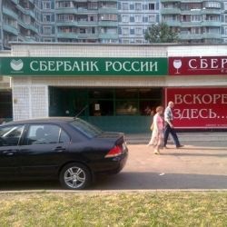 Весёлые картинки