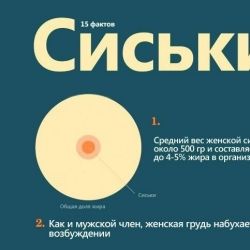Факты о женской груди