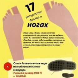 17 фактов о ногах