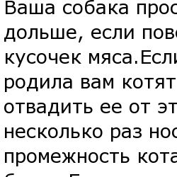 Как обращаться с питомцами