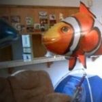 Air Swimmers
