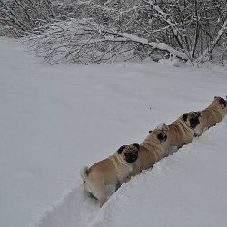 Придумайте название для картинки :)