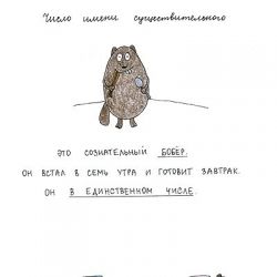 Объяснение понятий на бобрах