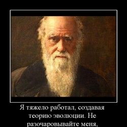 Свежие претенденты на премию Дарвина