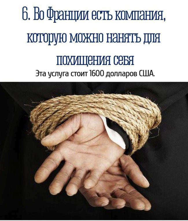 Занимательные факты
