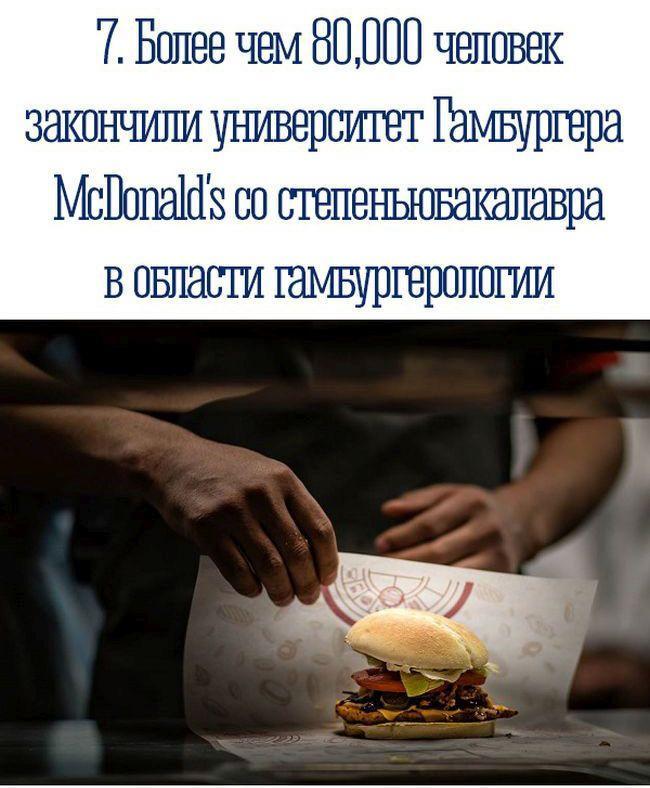 Занимательные факты