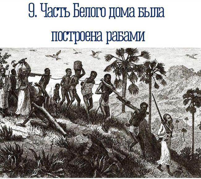 Занимательные факты