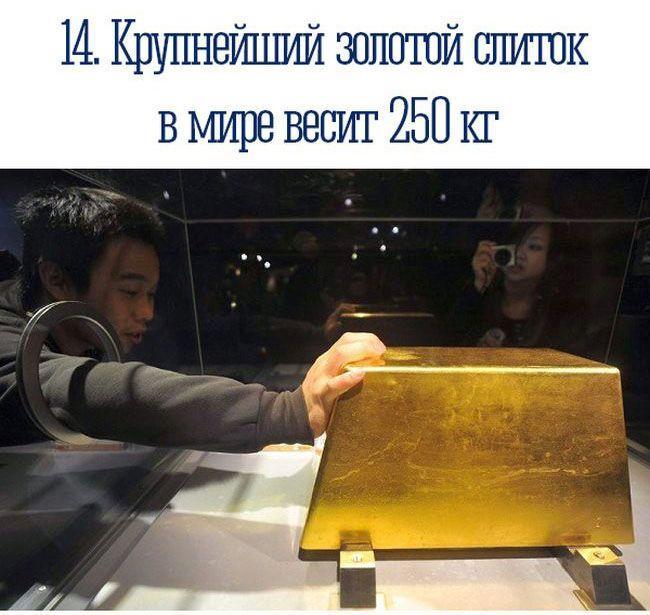 Занимательные факты