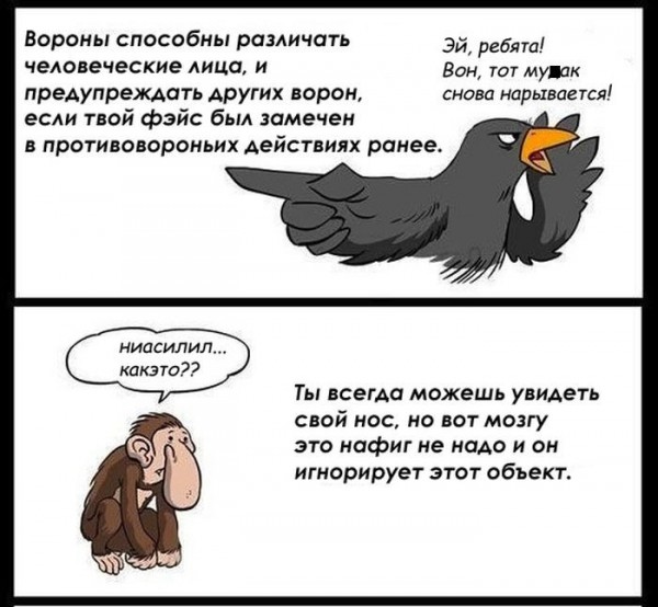 Наблюдения