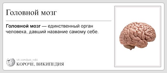 Короче википедия