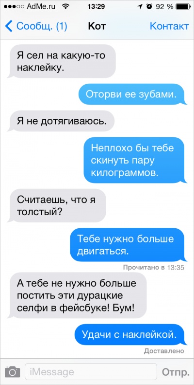 Если бы коты писали СМС