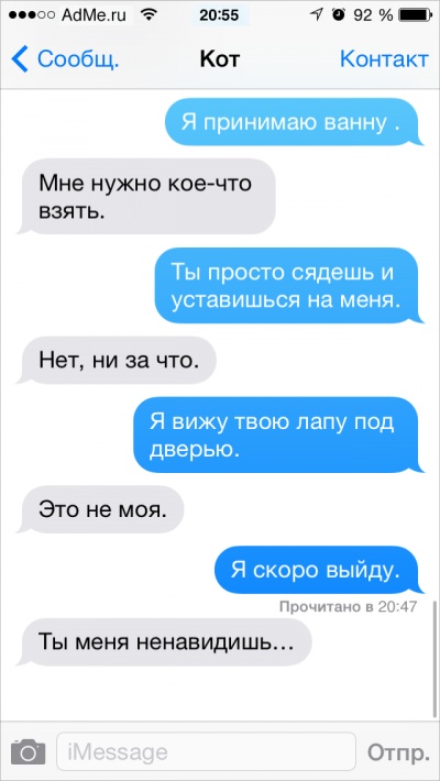 Если бы коты писали СМС