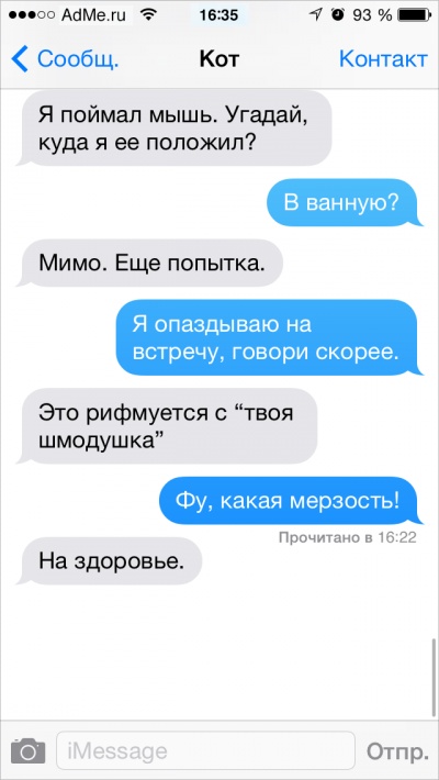 Если бы коты писали СМС