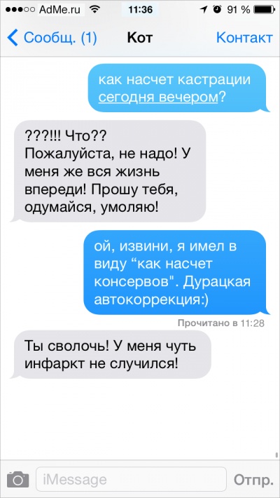 Если бы коты писали СМС