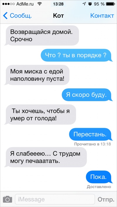 Если бы коты писали СМС