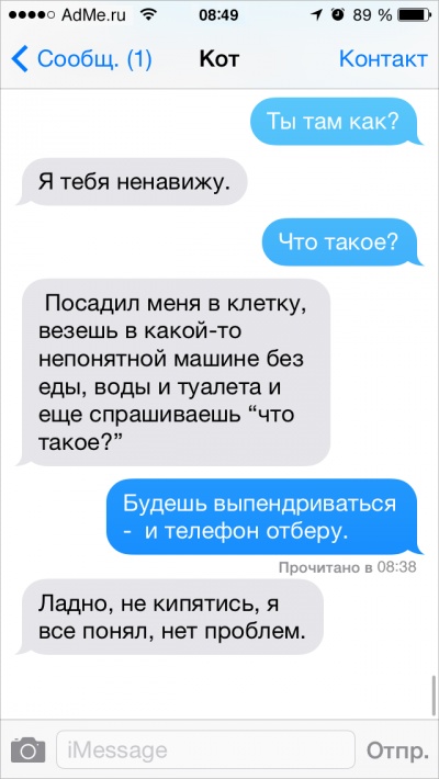 Если бы коты писали СМС