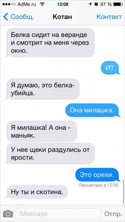 Если бы коты писали СМС