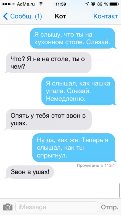 Если бы коты писали СМС