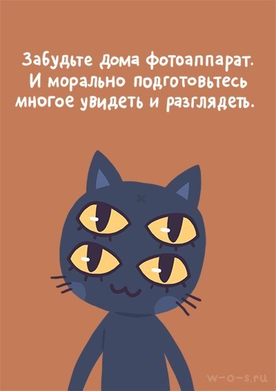 Как собраться в путешествие