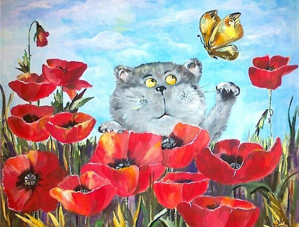 Котики 