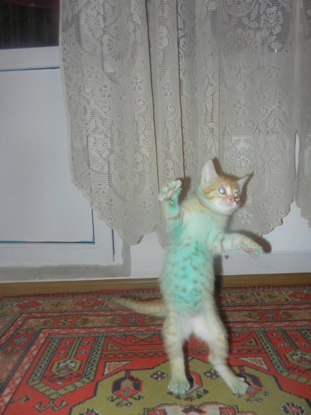 Малыши и зеленка