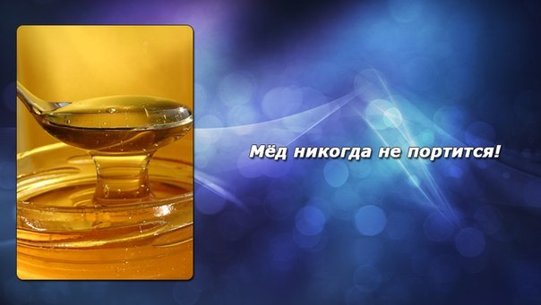 Интересные факты в картинках