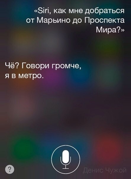 Разговоры с Siri