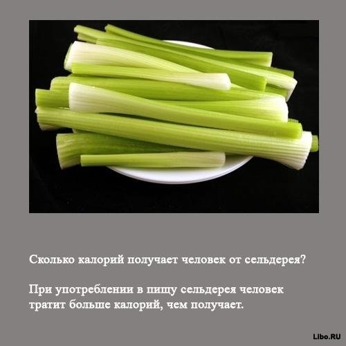 Факты в картинках