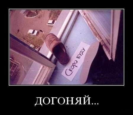 Демотиваторы