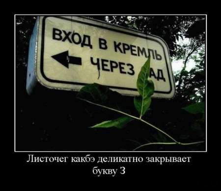 Демотиваторы