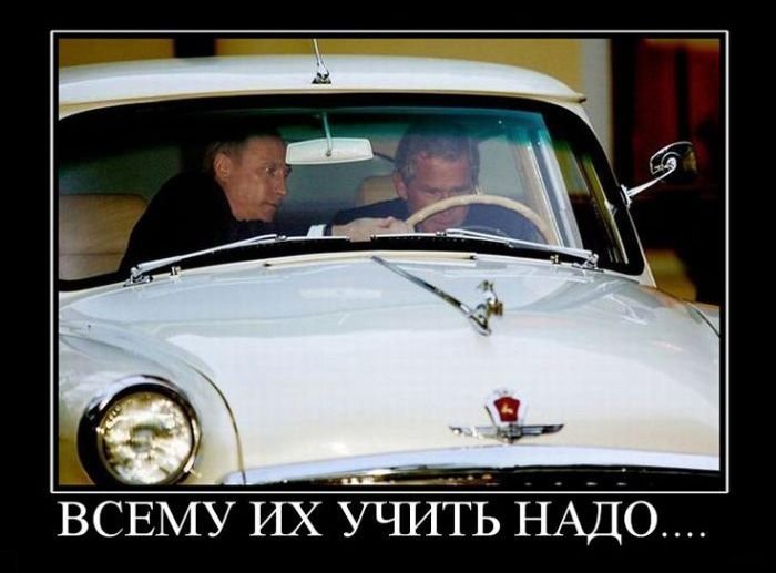 Демотиваторы