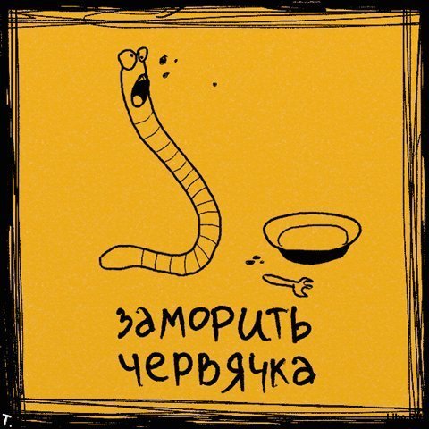 Сама очевидность