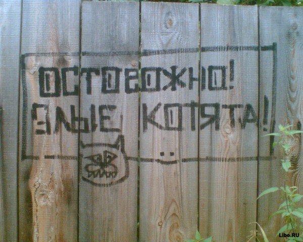 Весёлые картинки