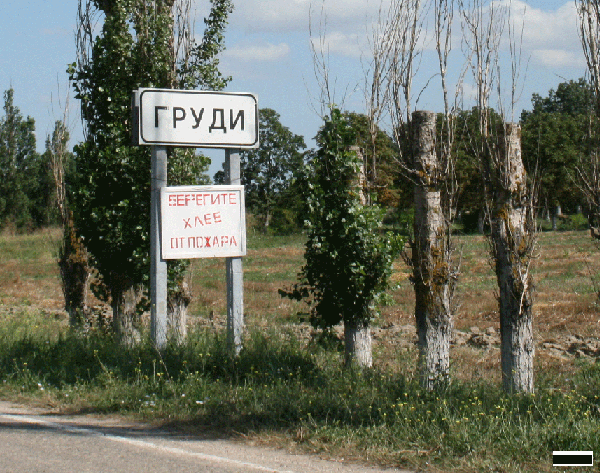 Весёлые картинки