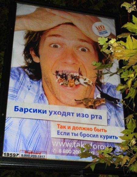 Весёлые картинки
