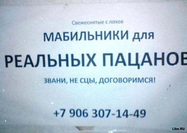 Весёлые картинки