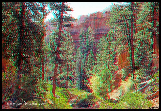 Стерео картинки. Природа.