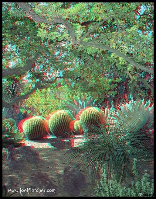 Стерео картинки. Природа.