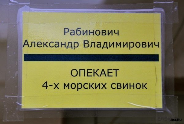 Веселые картинки