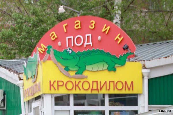 Веселые картинки