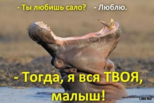 Шутки в картинках
