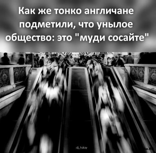 Шутки в картинках