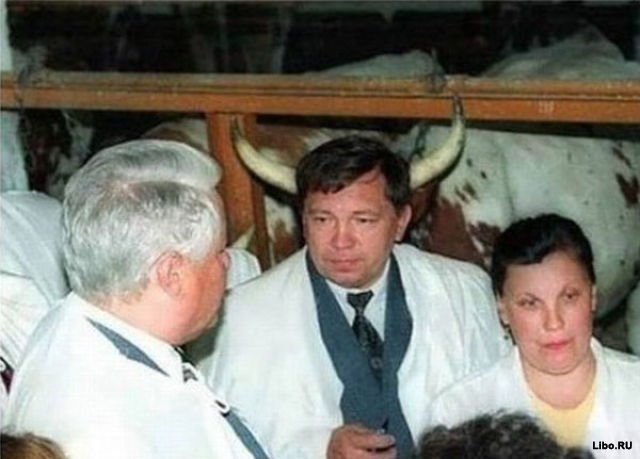 Присмотрись внимательней