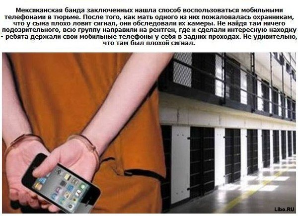 ТОП 10 способов контрабанды