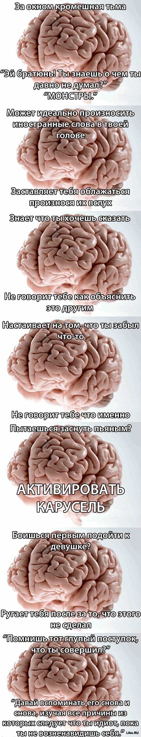 Вся правда о мозге