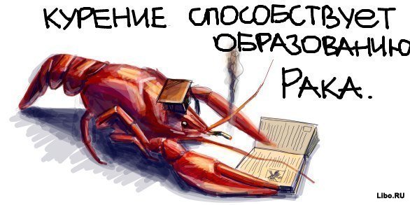 Огроменная подборка шуточек..