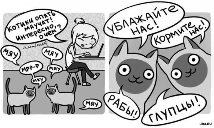 Подборка комиксов