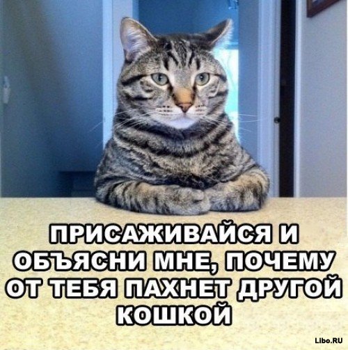 Опубликованное фото